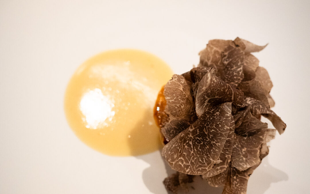 ESqUISSE：2025-12-15