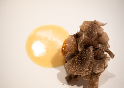 ESqUISSE：2025-12-15