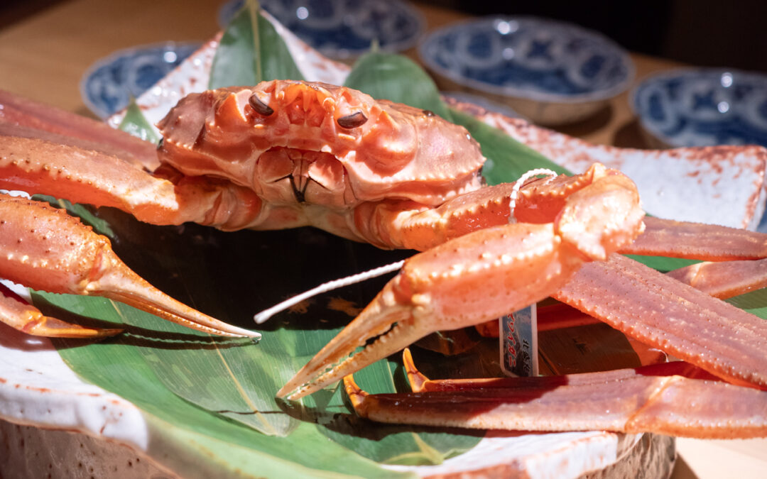 富山：だい　2025-12-19